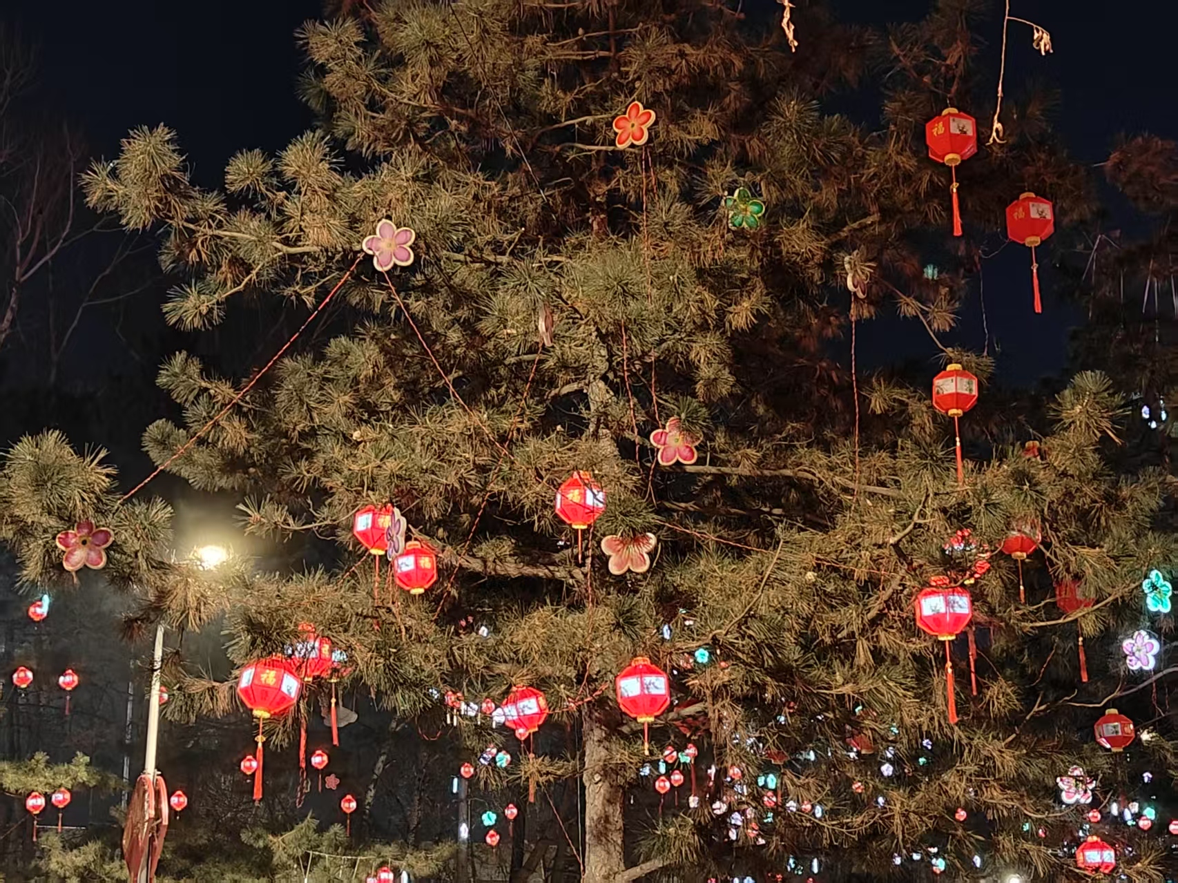 南湖的夜晚